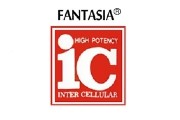 Fantasia IC