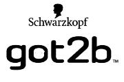 Got2b