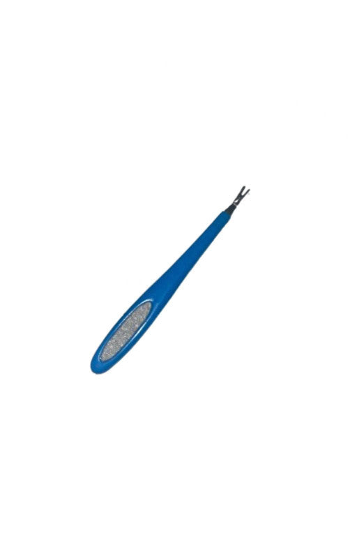 Pied de biche bleu